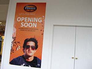 Fossil Coming Soon!