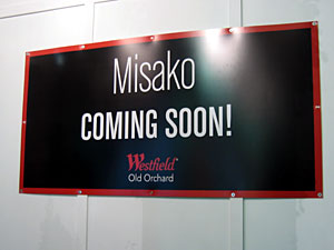 Coming Soon: Misako